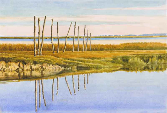 Marsh Fence - Alan Campbell