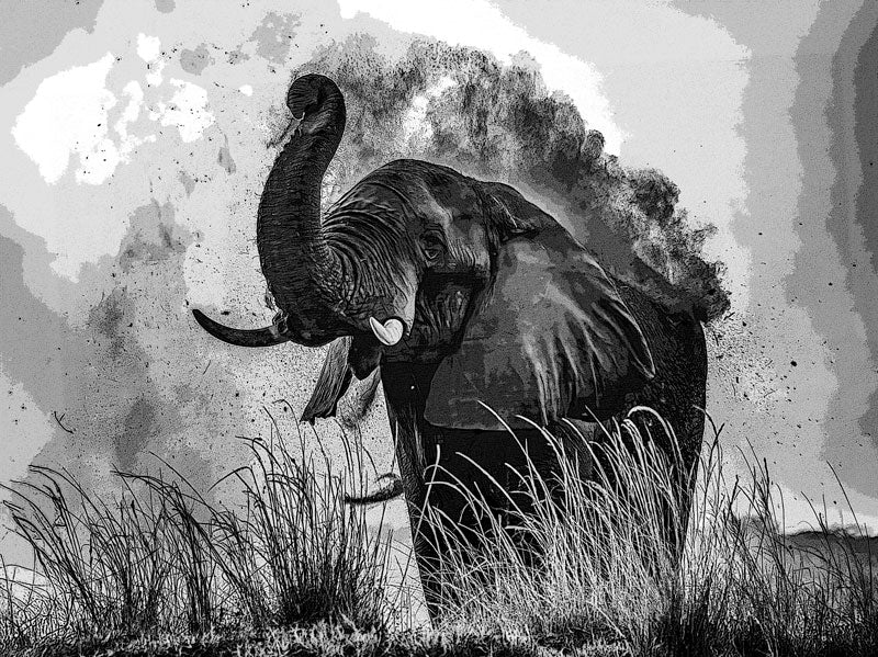 Monochromatic Elephant - Richard Distlerath