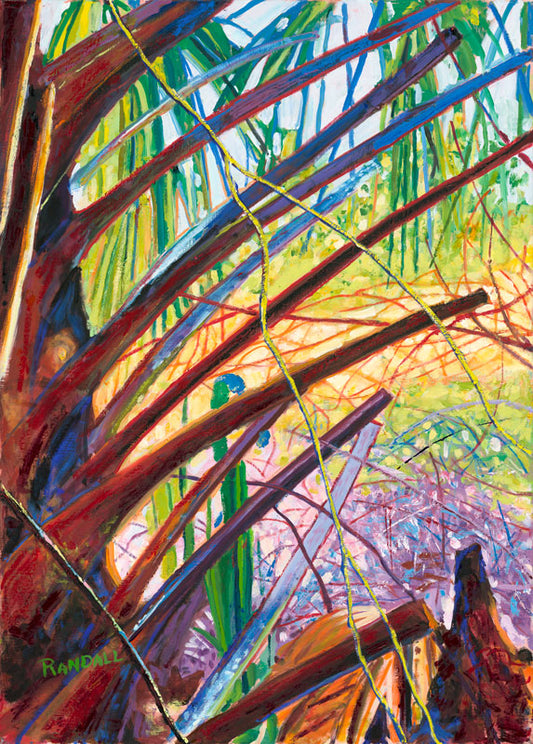 Morning Palm - Dave Randall