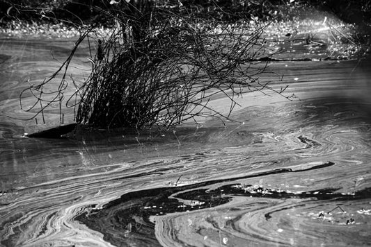 Nature's Wet on Wet - Pete Schramm