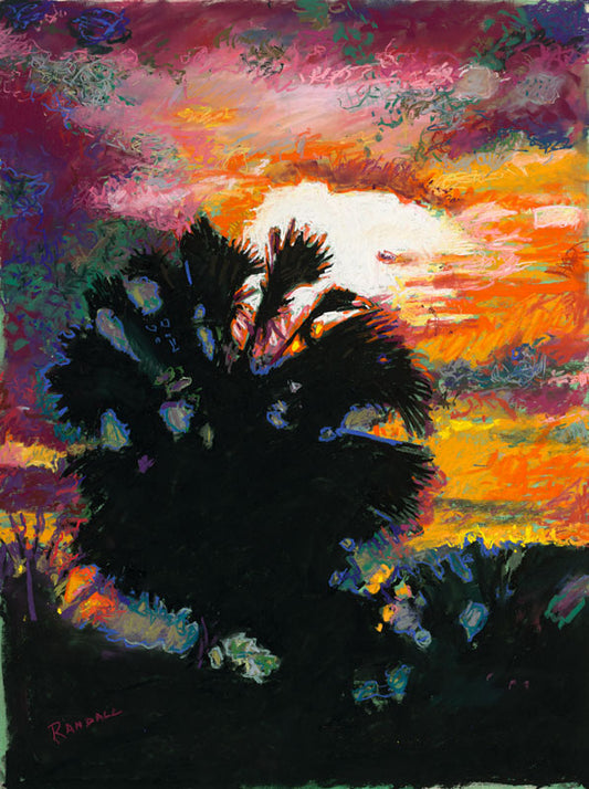 Palm and Sunset - Dave Randall