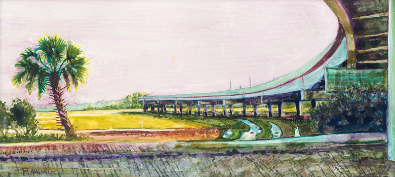 Palmetto Flyover - Dave Randall