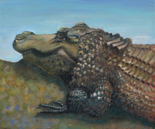 Patrick the Gator - Donna Raines