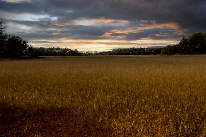 Pinckney Island Sunrise - Pete Schramm