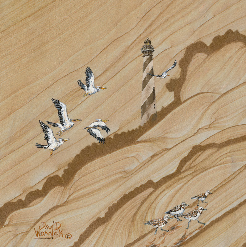Piper Pelicans Lighthouse - David Womick