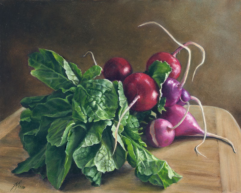 Radishes - Alan Campbell