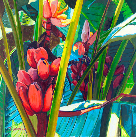 Red and Green - Dave Randall