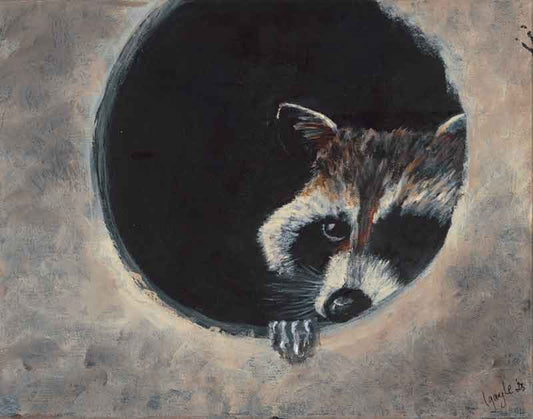 Rocky the Raccoon - Leslie Gayle