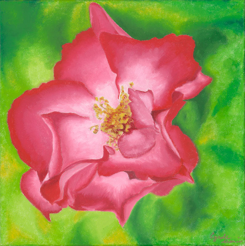 Rose - Cynde Morris
