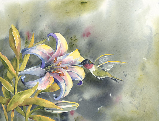 Ruby Throated Lilly - Penny Thompson