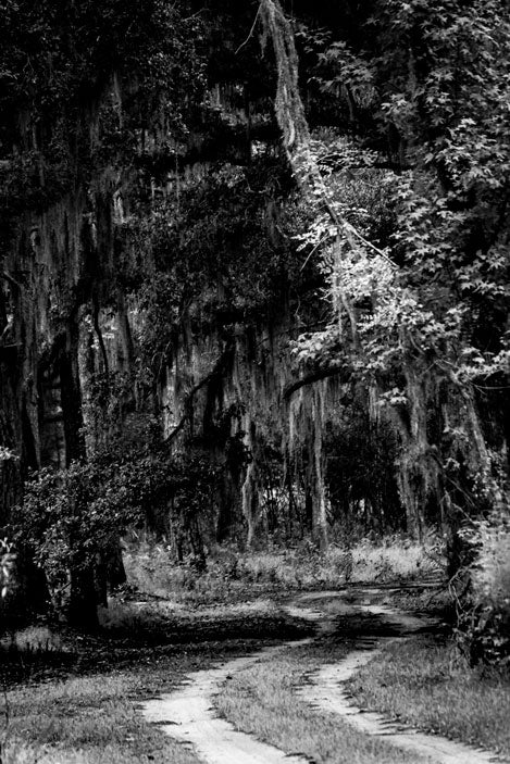 S Bend through the Oaks - Pete Schramm