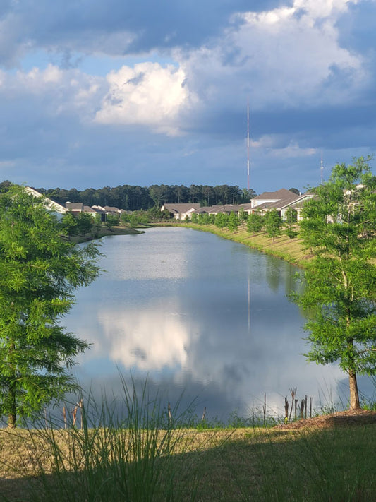 SC Pond - Stephen Annese