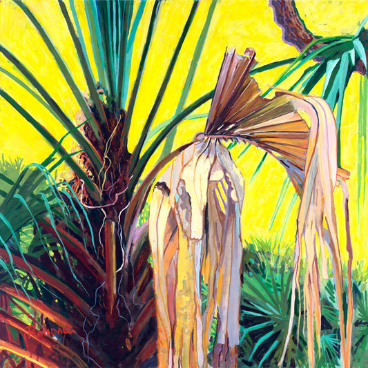 Sabal Palm - Dave Randall