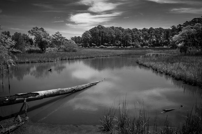 Salt Water Pond - Pete Schramm