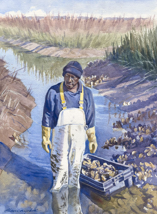 Sam Oystering - Alan Campbell