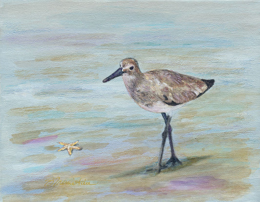 Sandpiper - Bill Tremitiere