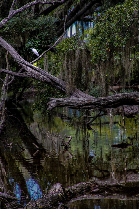 Savage Island Waterway 1 - Pete Schramm