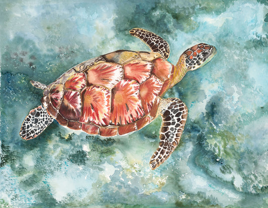 Sea Turtle - Kitt Dobry