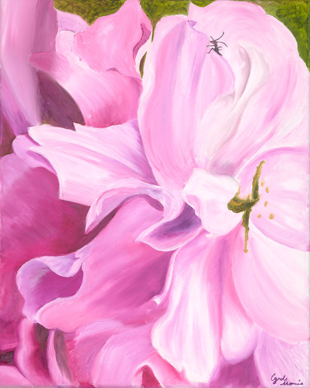 Small Wonders - Cynde Morris