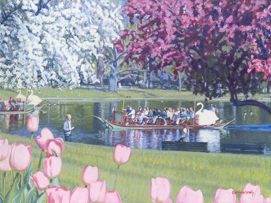Spring, Boston, swan boat, tulips, bloom
