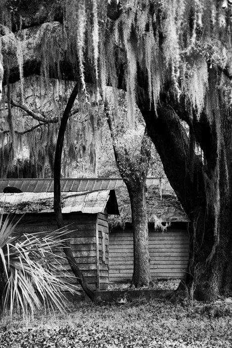 St Helena Island Penn Center Out Buildings - Pete Schramm