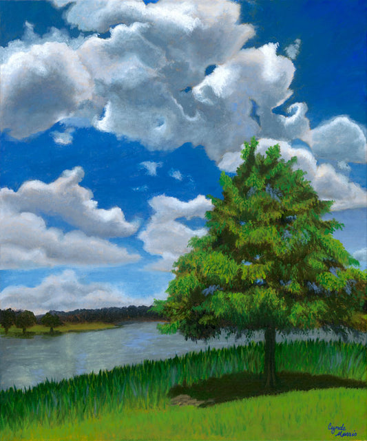 Summer Day - Cynde Morris
