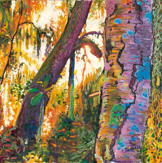 Sunrise - Dave Randall