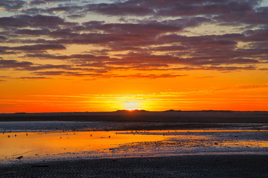 Sunrise at Fish Haul 3 - Steven Higgins