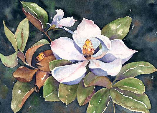 The Magnolia - Penny Thompson