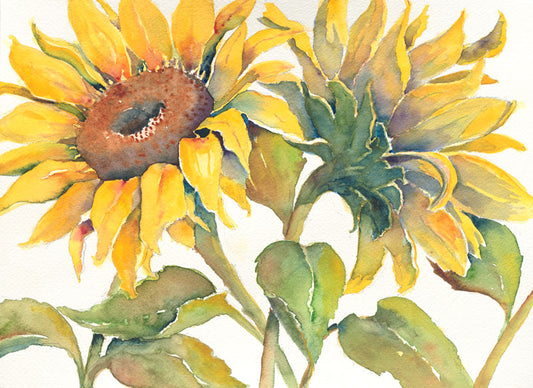 The Sunflowers - Penny Thompson
