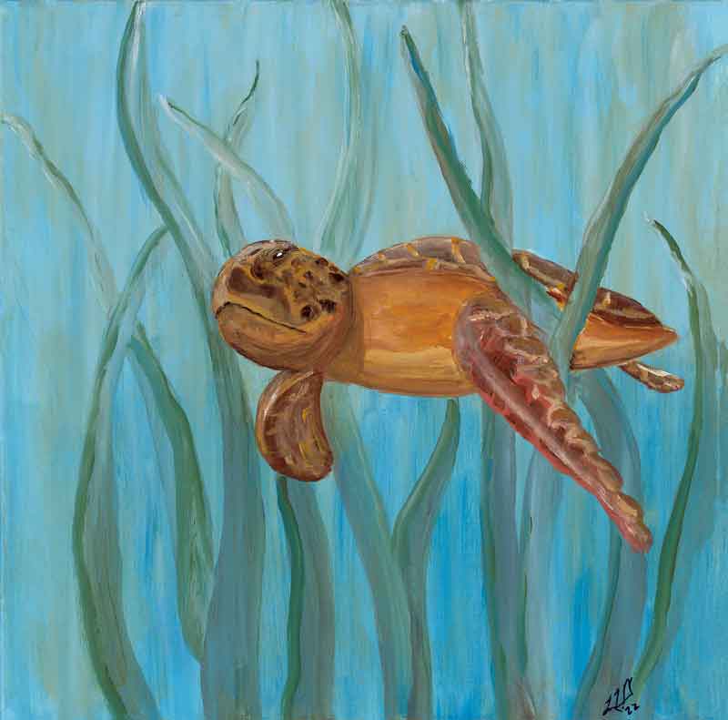Turtle Left - Leslie Gayle