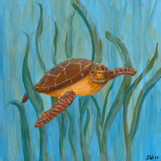 Turtle Right - Leslie Gayle