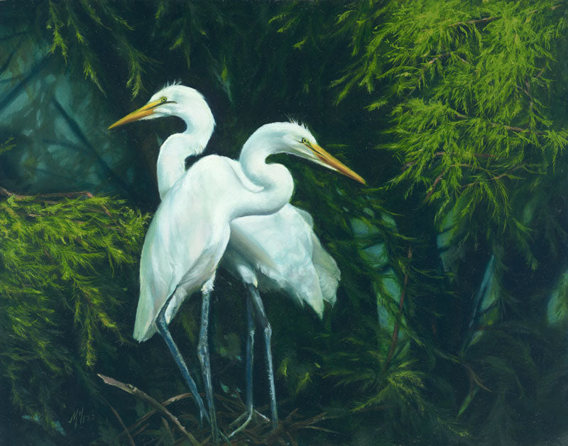 Two Standing Egrets - Alan Campbell