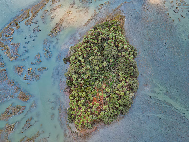 Uninhabited Palm Island - Steven Higgins