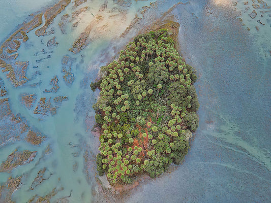 Uninhabited Palm Island - Steven Higgins