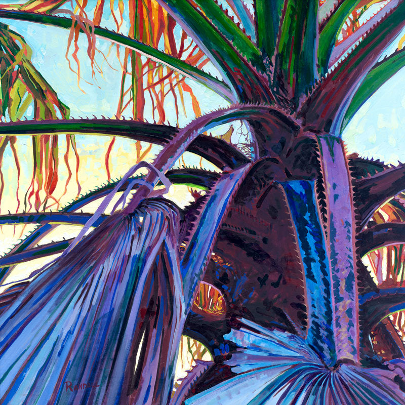 Washingtonian Palm - Dave Randall