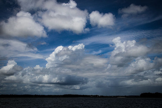 Windswept - Pete Schramm