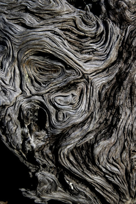 Wood Grain Abstract - Pete Schramm