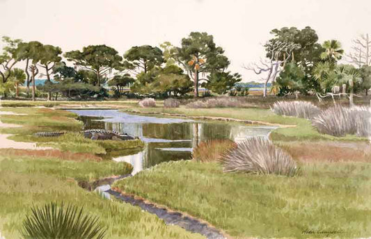 Marsh Pond - Alan Campbell