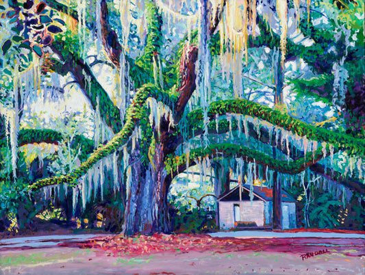 Oak, Moss, and Fern - Dave Randall