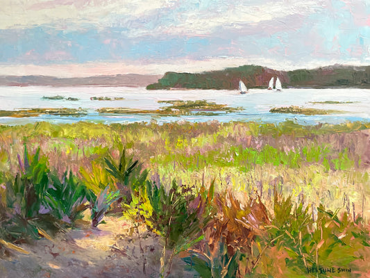 Sailing in the Lowcountry - HeeJune Shin