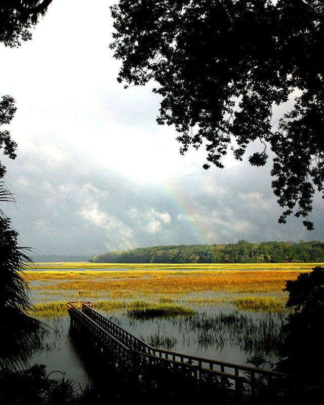 Autumn on the marsh with a rainbow photograph