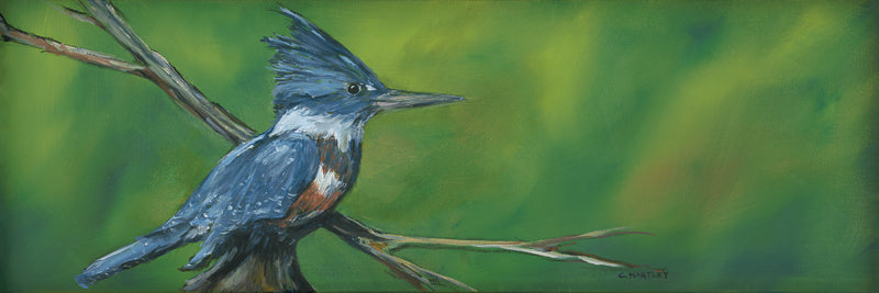 Knighfisher bird painting