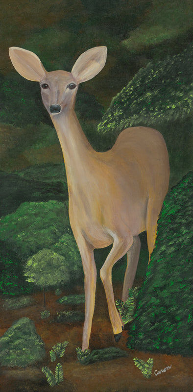 Painting of a deer by Diane Caron