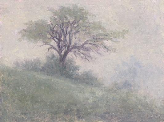 Misty morning tree painting