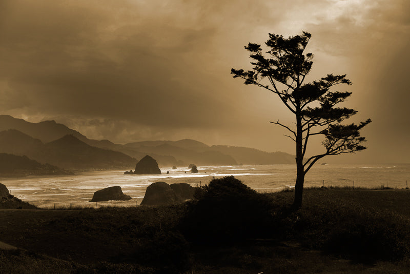 Sepia photograph of Oregon Coast 