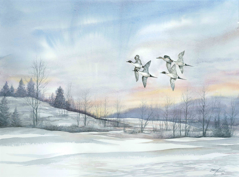 Pintails watercolor painting, birds, snow