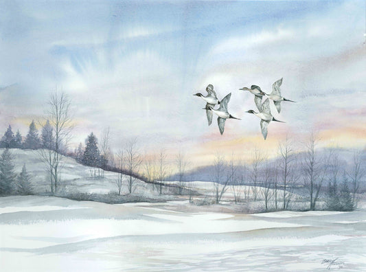 Pintails watercolor painting, birds, snow