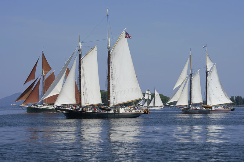 sailboats photograph