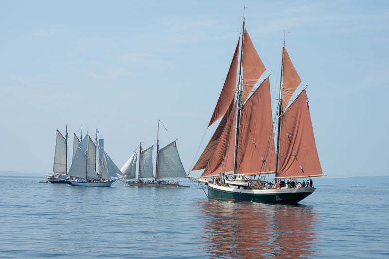 Sailboats photograph, red sails